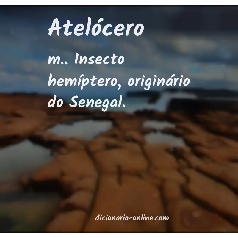 Significado de atelócero