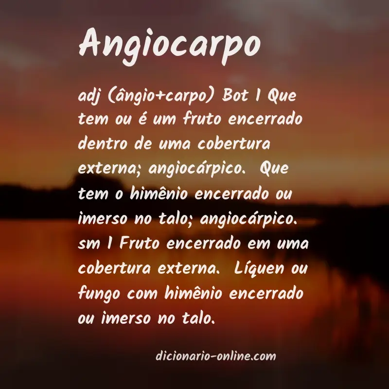 Significado de angiocarpo