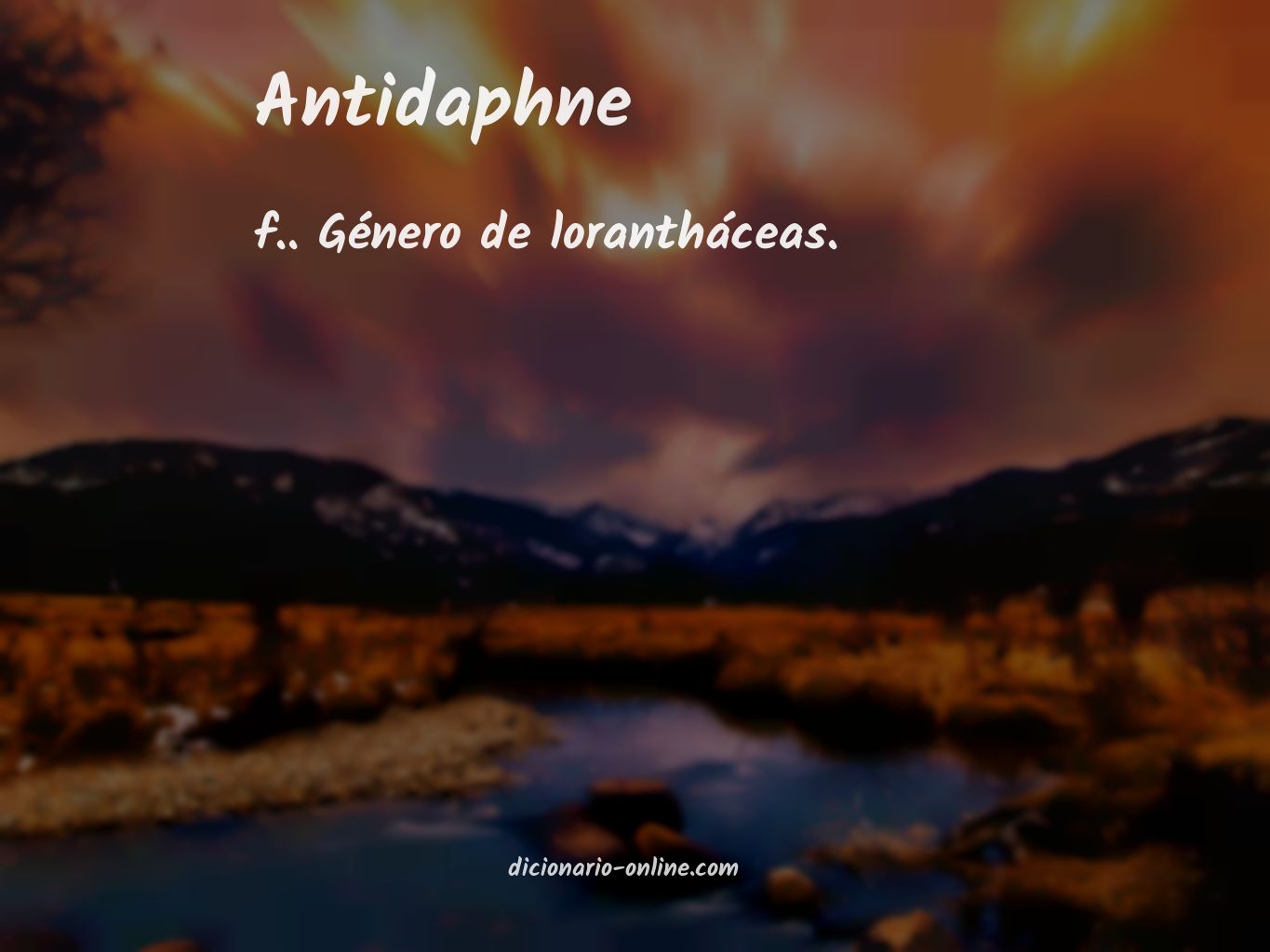 Significado de antidaphne