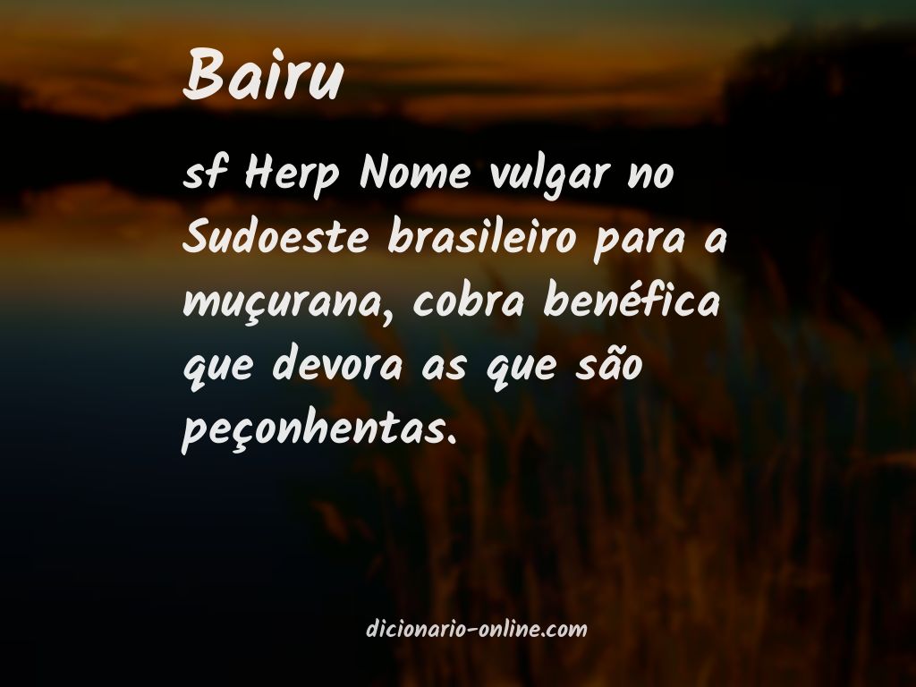 Significado de bairu