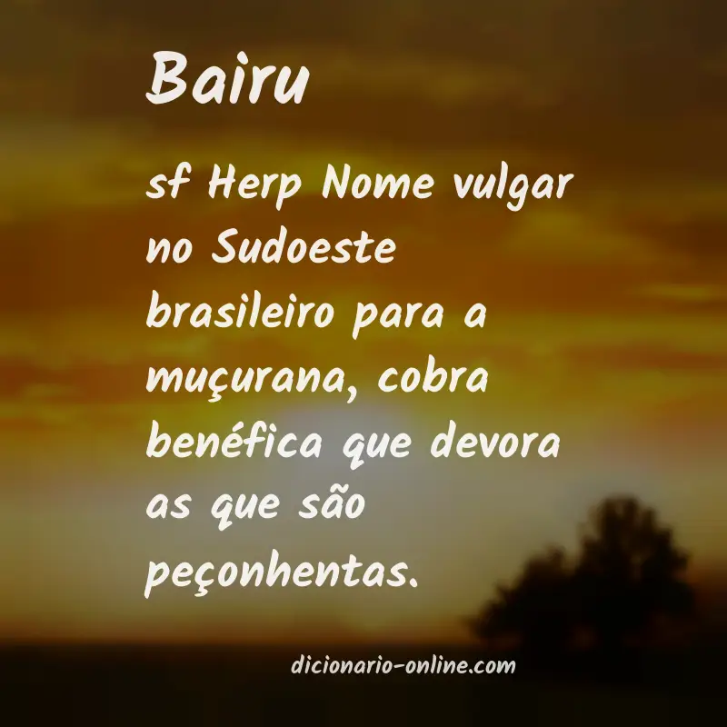 Significado de bairu