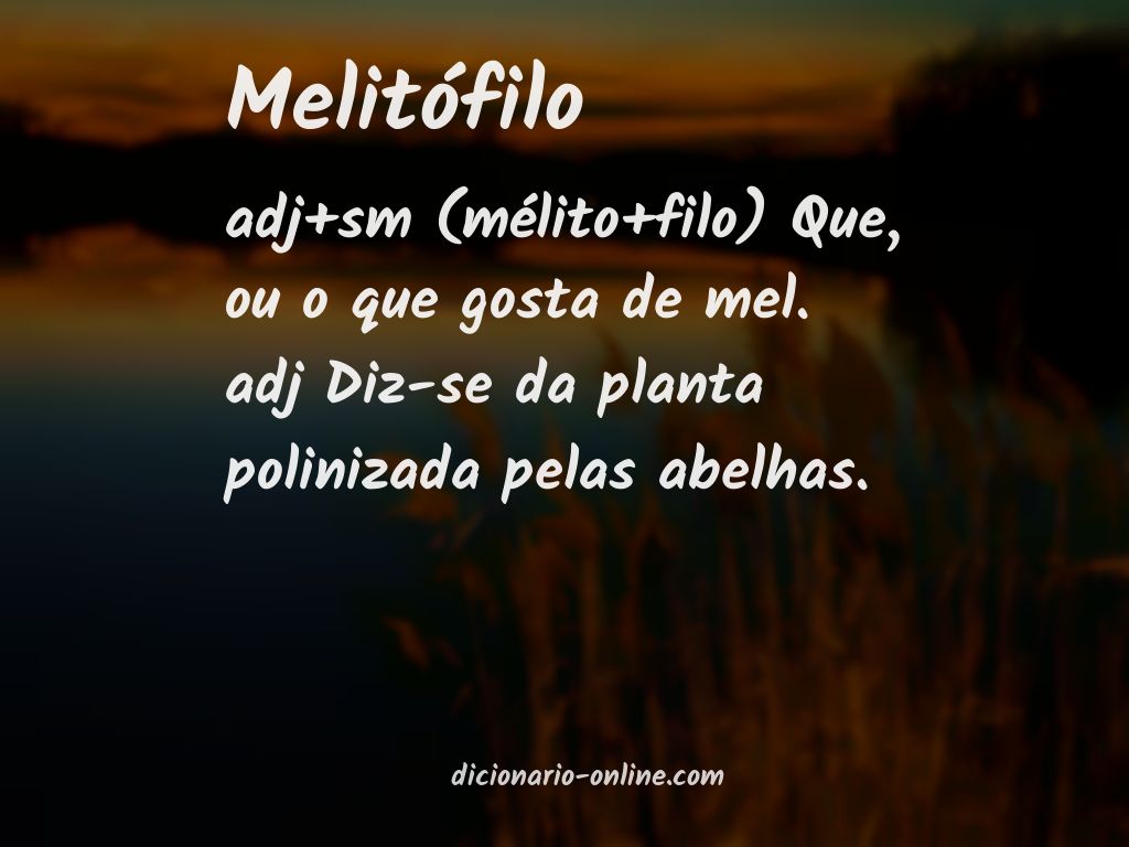 Significado de melitófilo