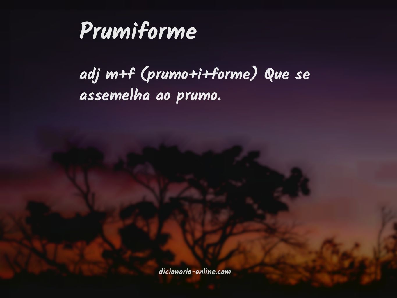 Significado de prumiforme