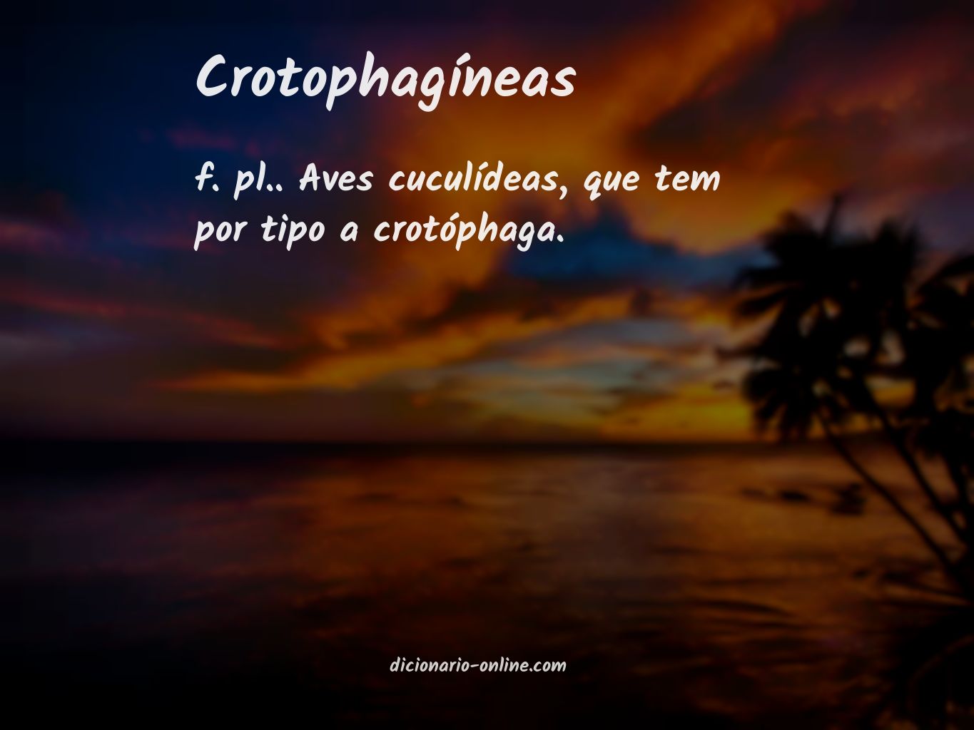 Significado de crotophagíneas