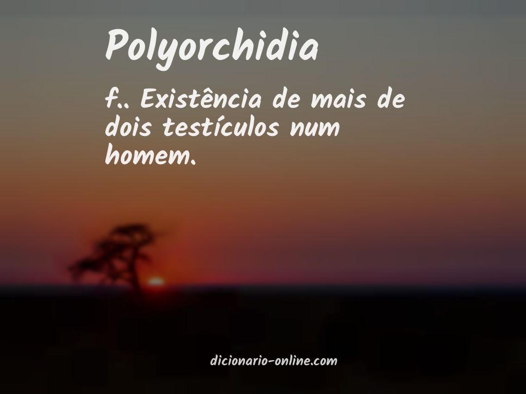 Significado de polyorchidia