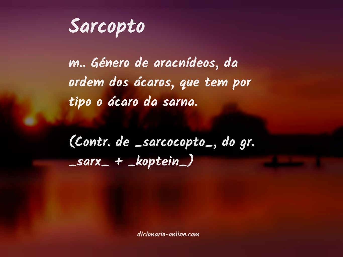 Significado de sarcopto