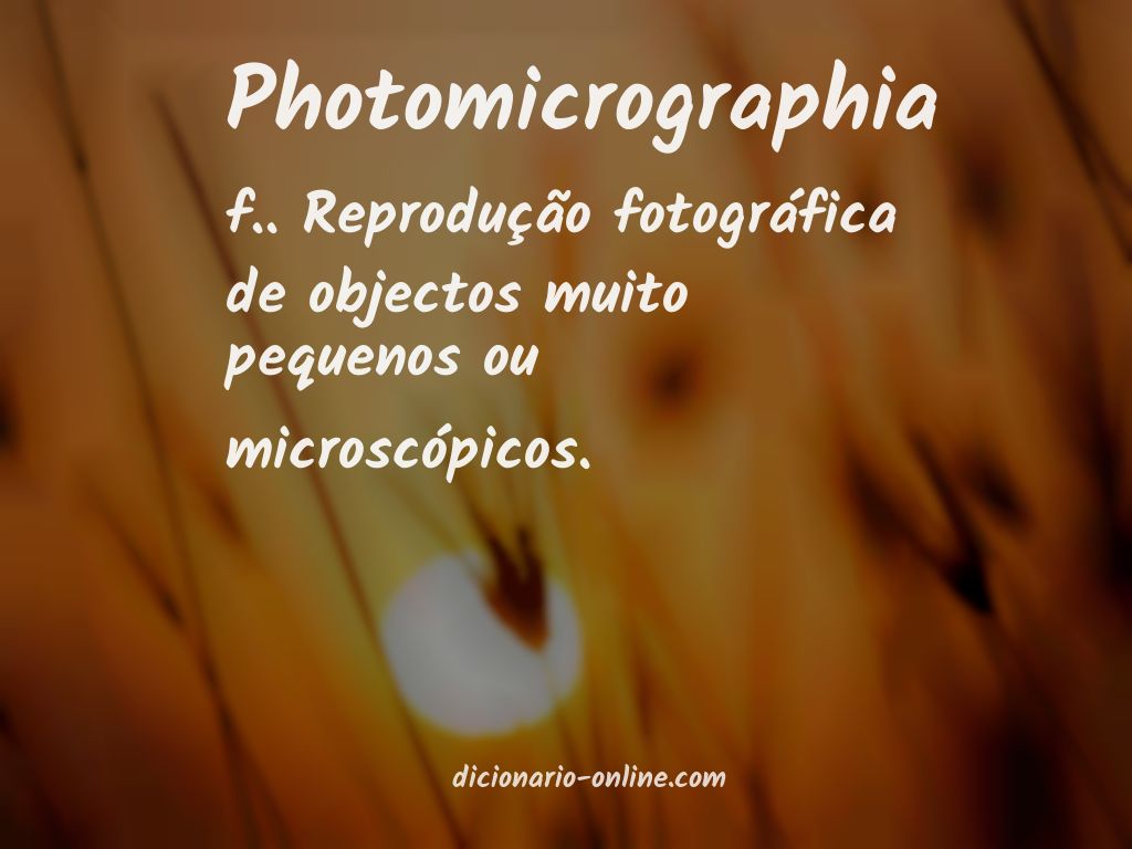 Significado de photomicrographia