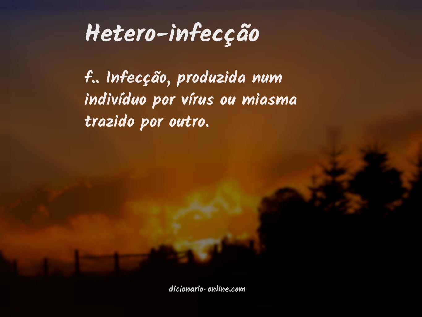 Significado de hetero-infecção