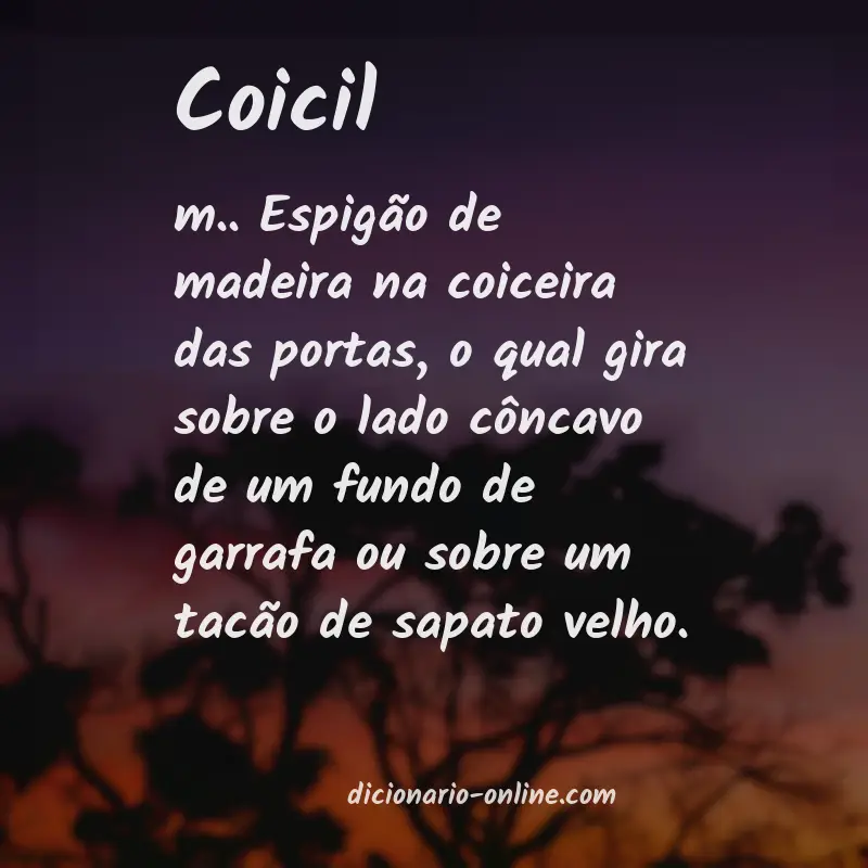 Significado de coicil