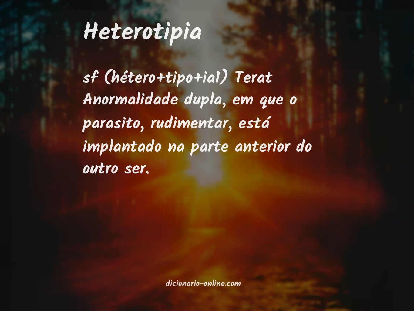 Significado de heterotipia