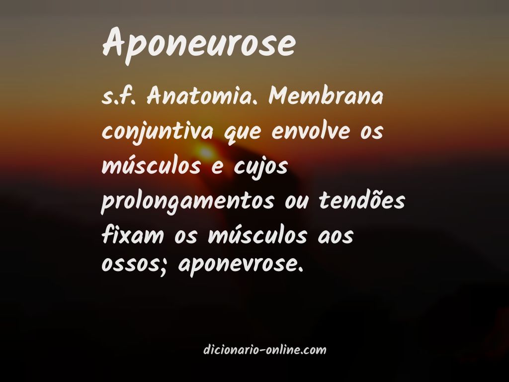 Significado de aponeurose
