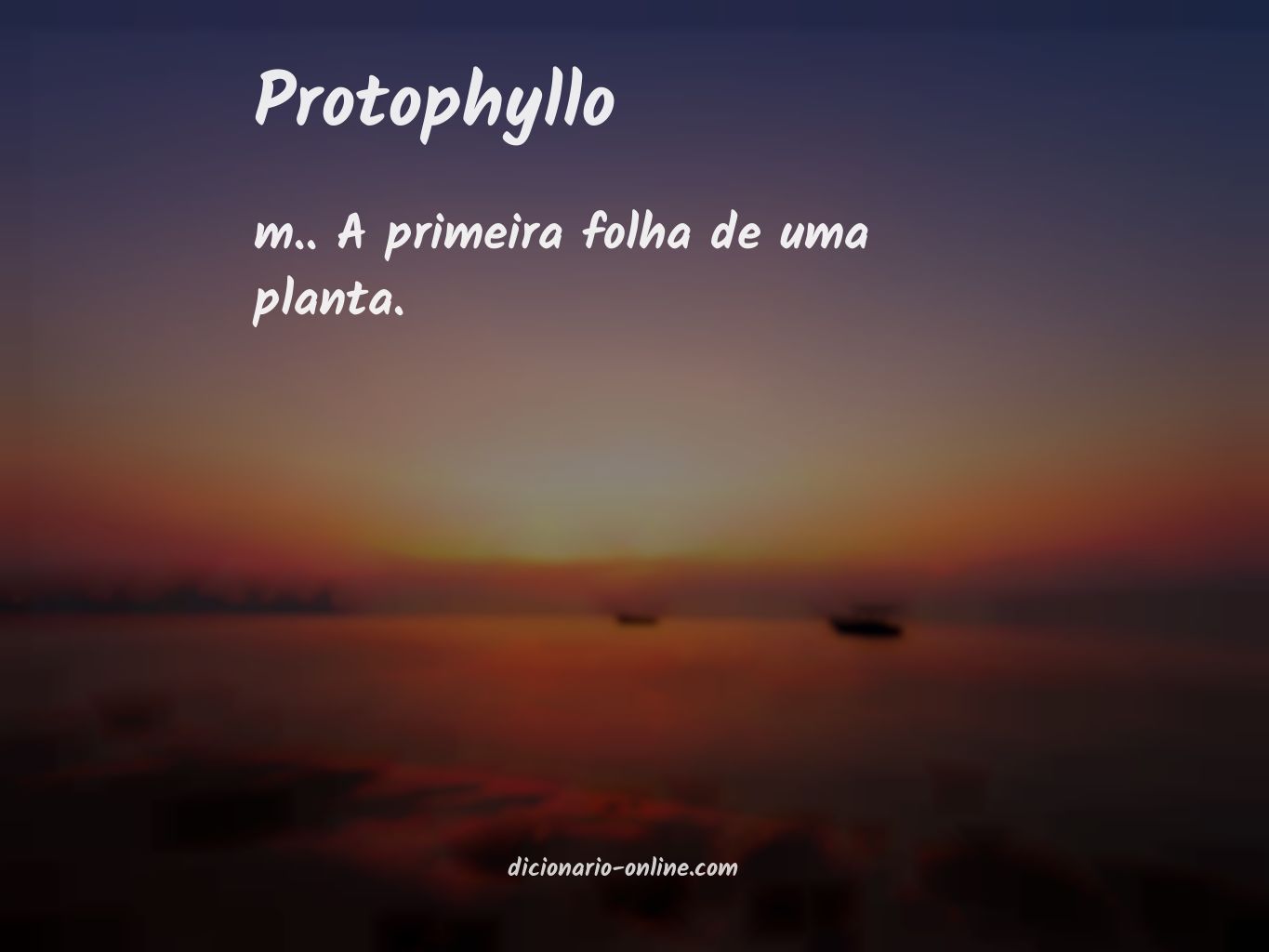 Significado de protophyllo