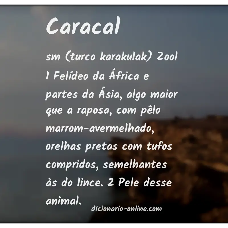Significado de caracal
