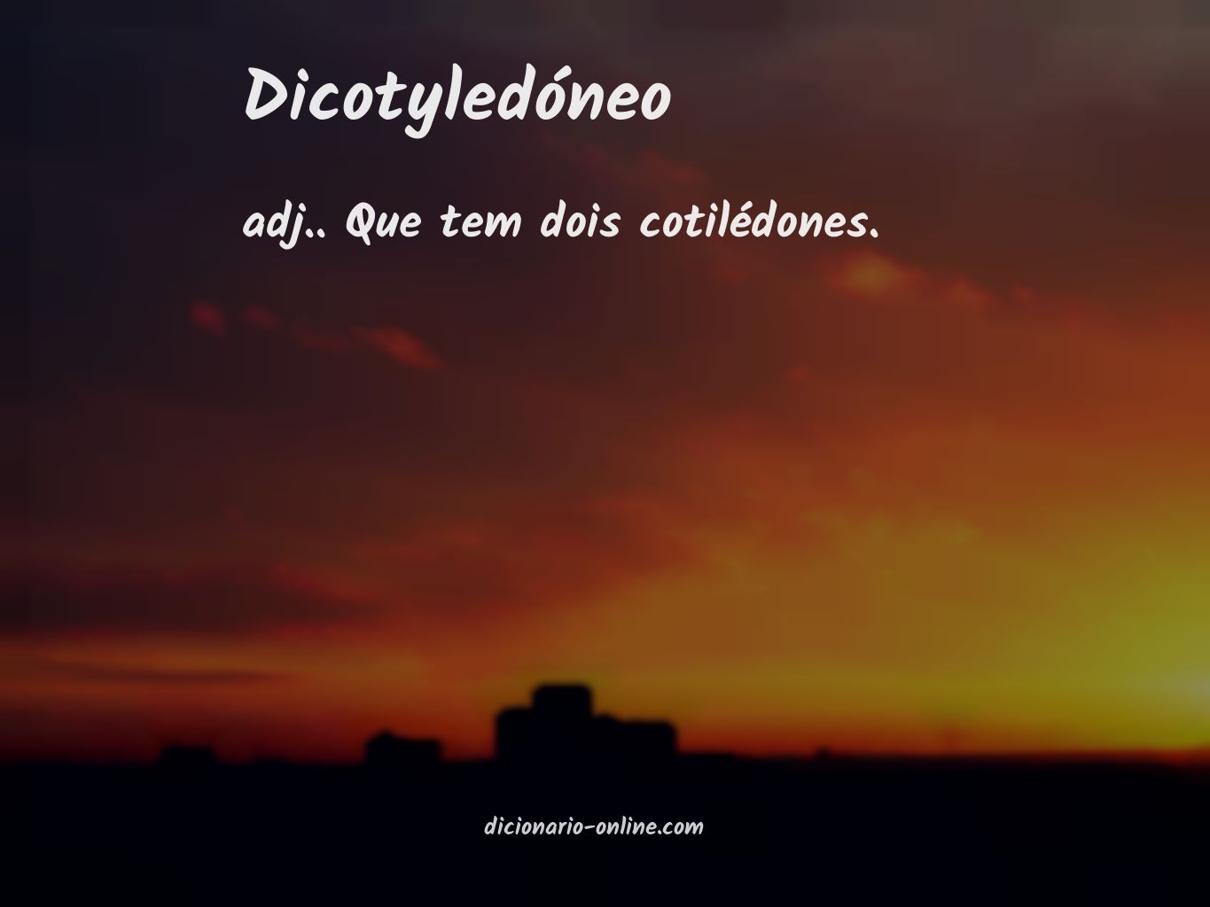 Significado de dicotyledóneo