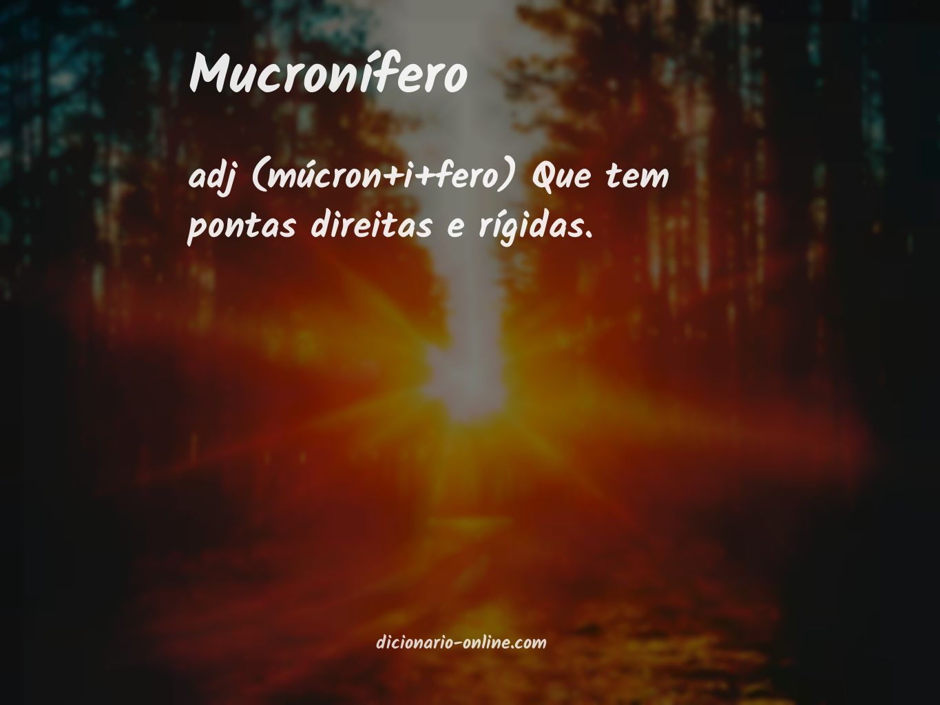 Significado de mucronífero