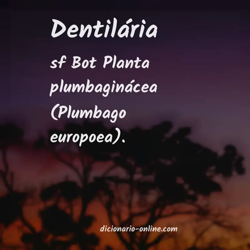 Significado de dentilária