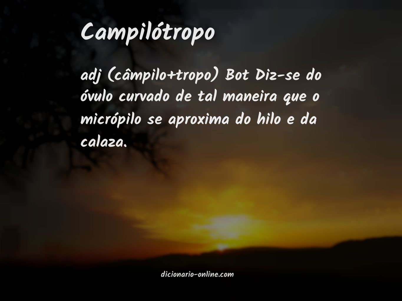 Significado de campilótropo