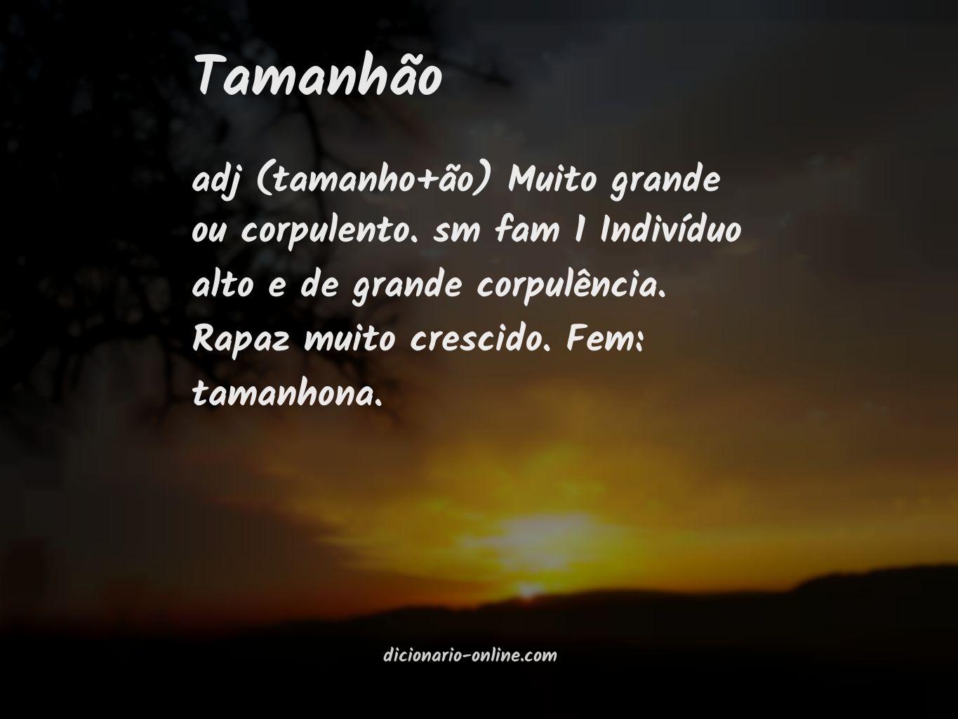 Significado de tamanhão