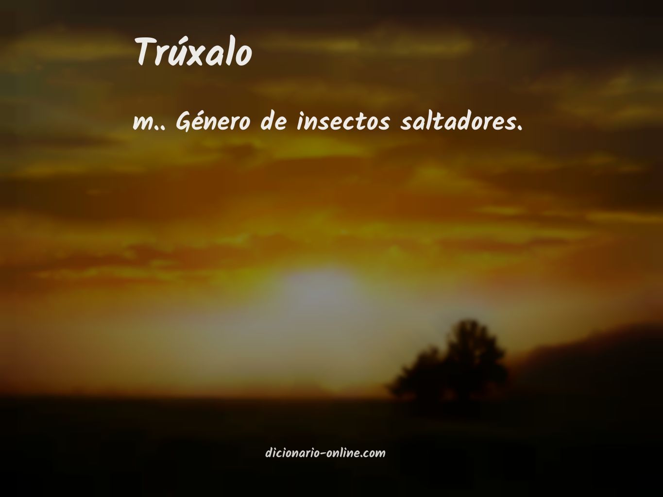 Significado de trúxalo