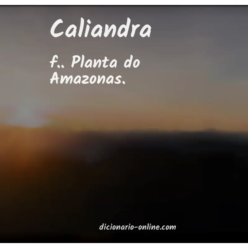 Significado de caliandra