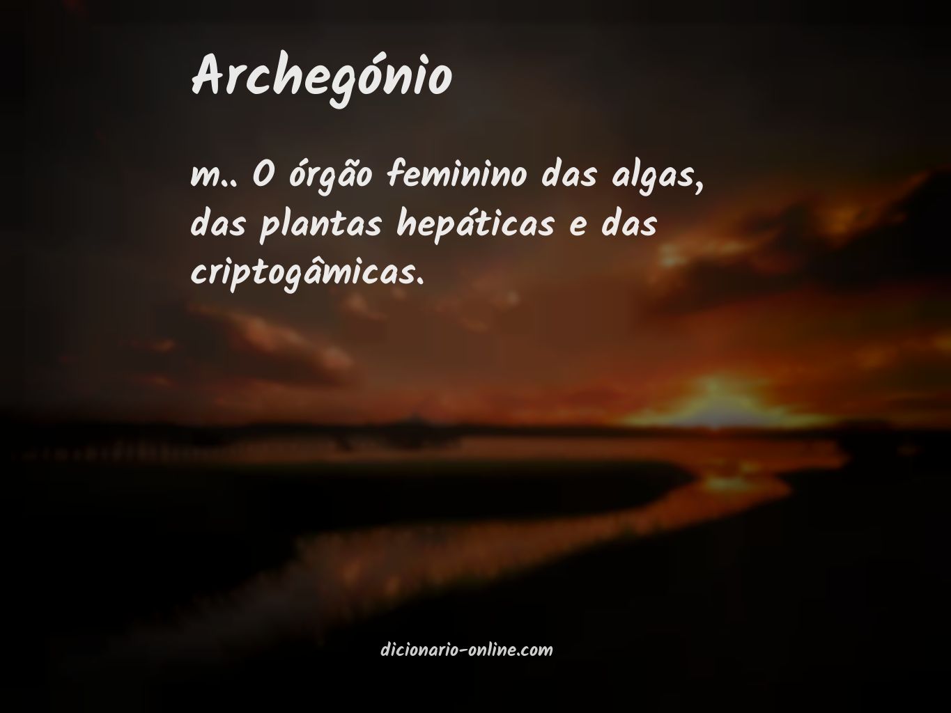 Significado de archegónio