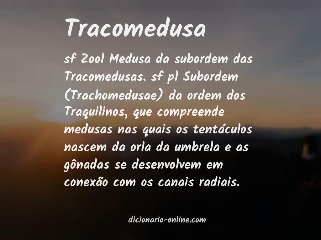 Significado de tracomedusa