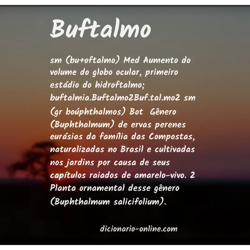 Significado de buftalmo