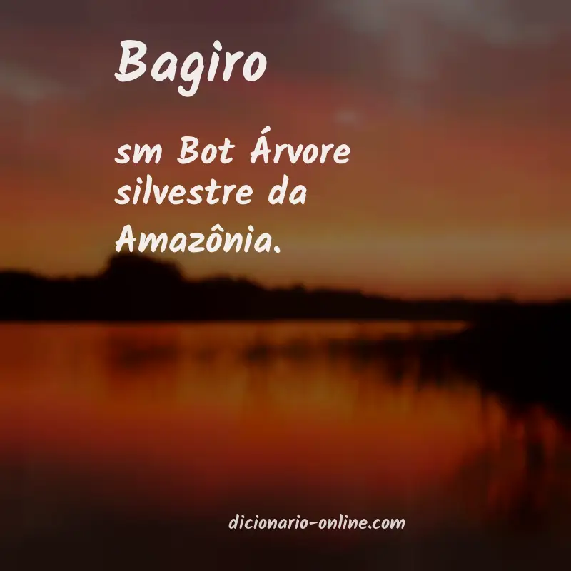 Significado de bagiro
