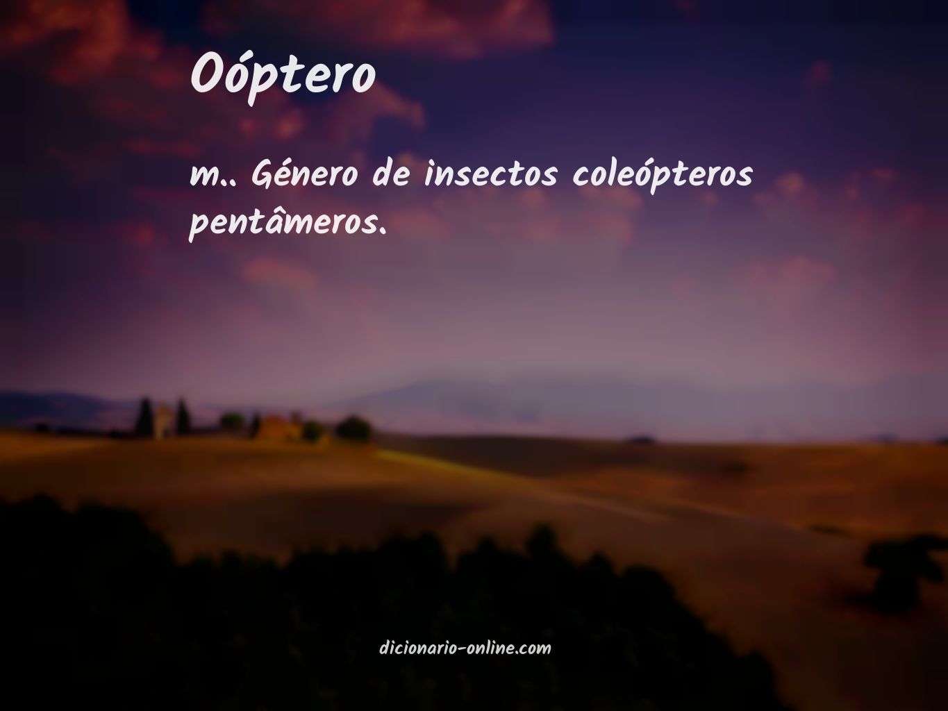 Significado de oóptero