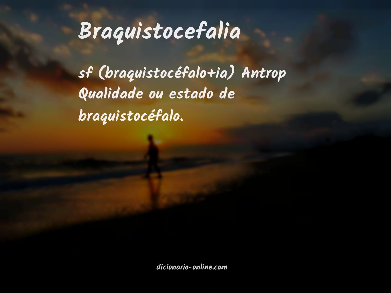 Significado de braquistocefalia