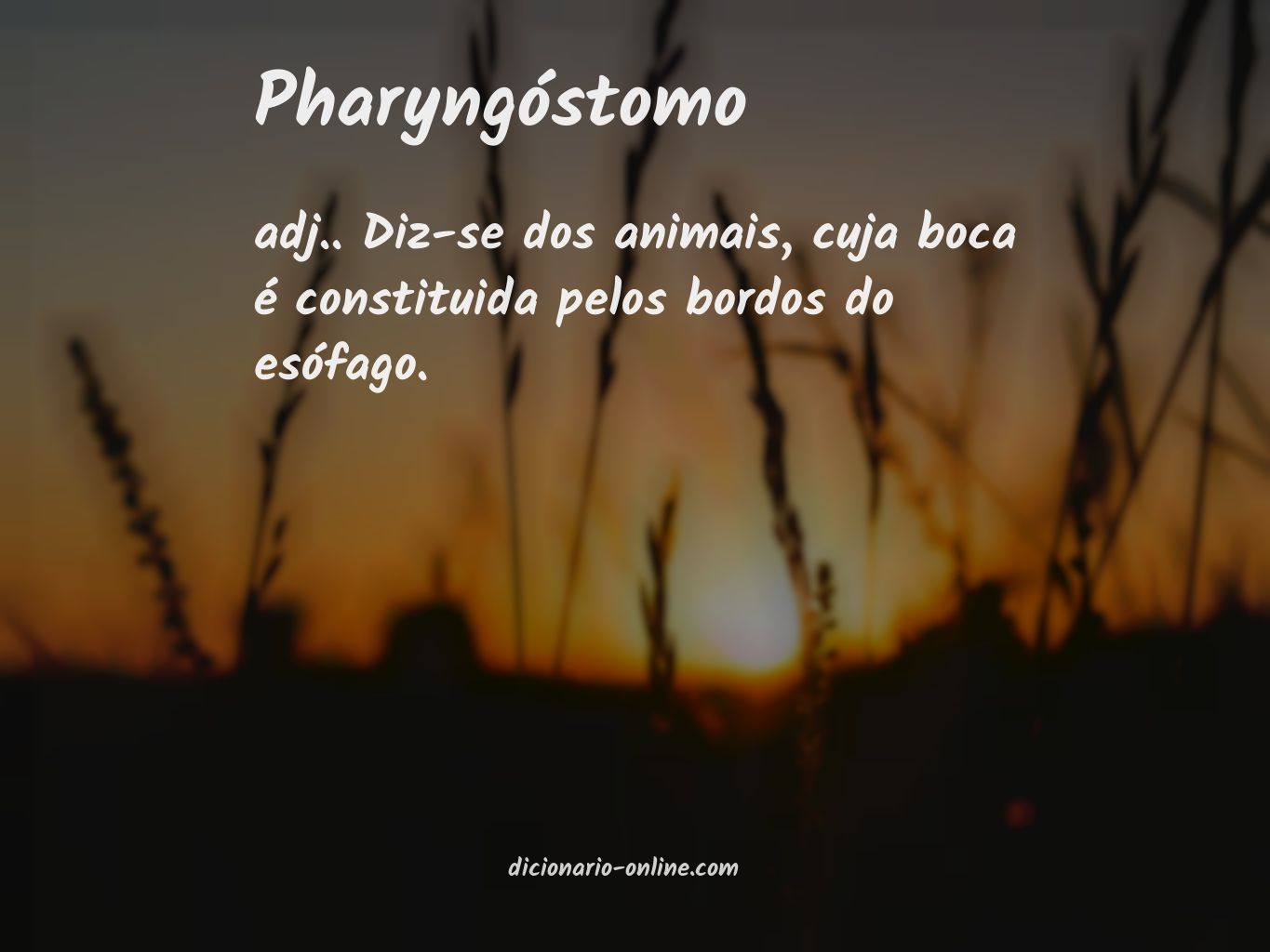 Significado de pharyngóstomo