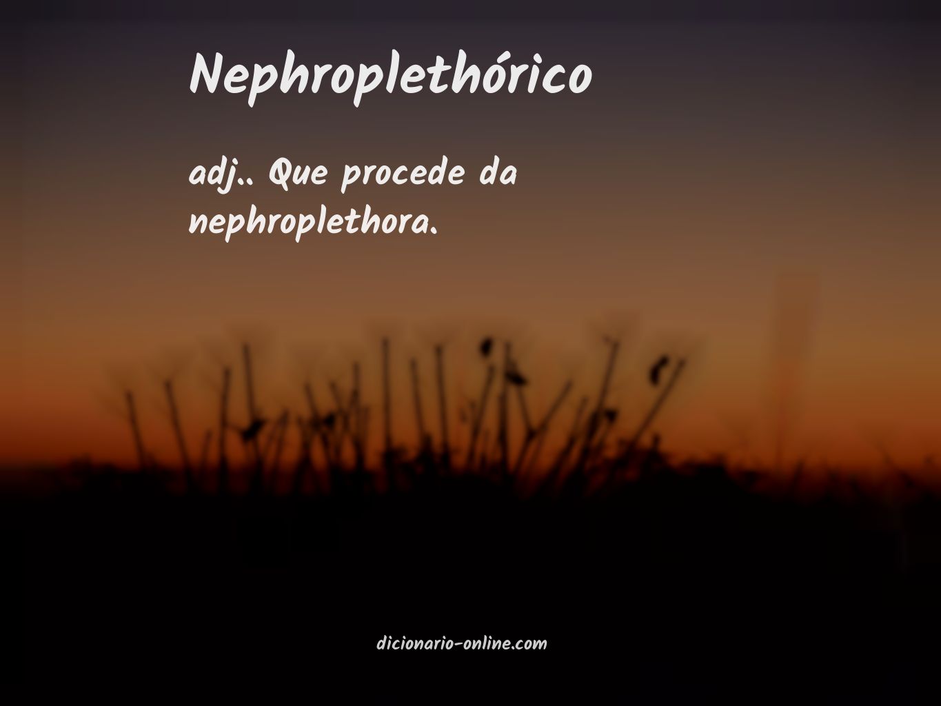 Significado de nephroplethórico