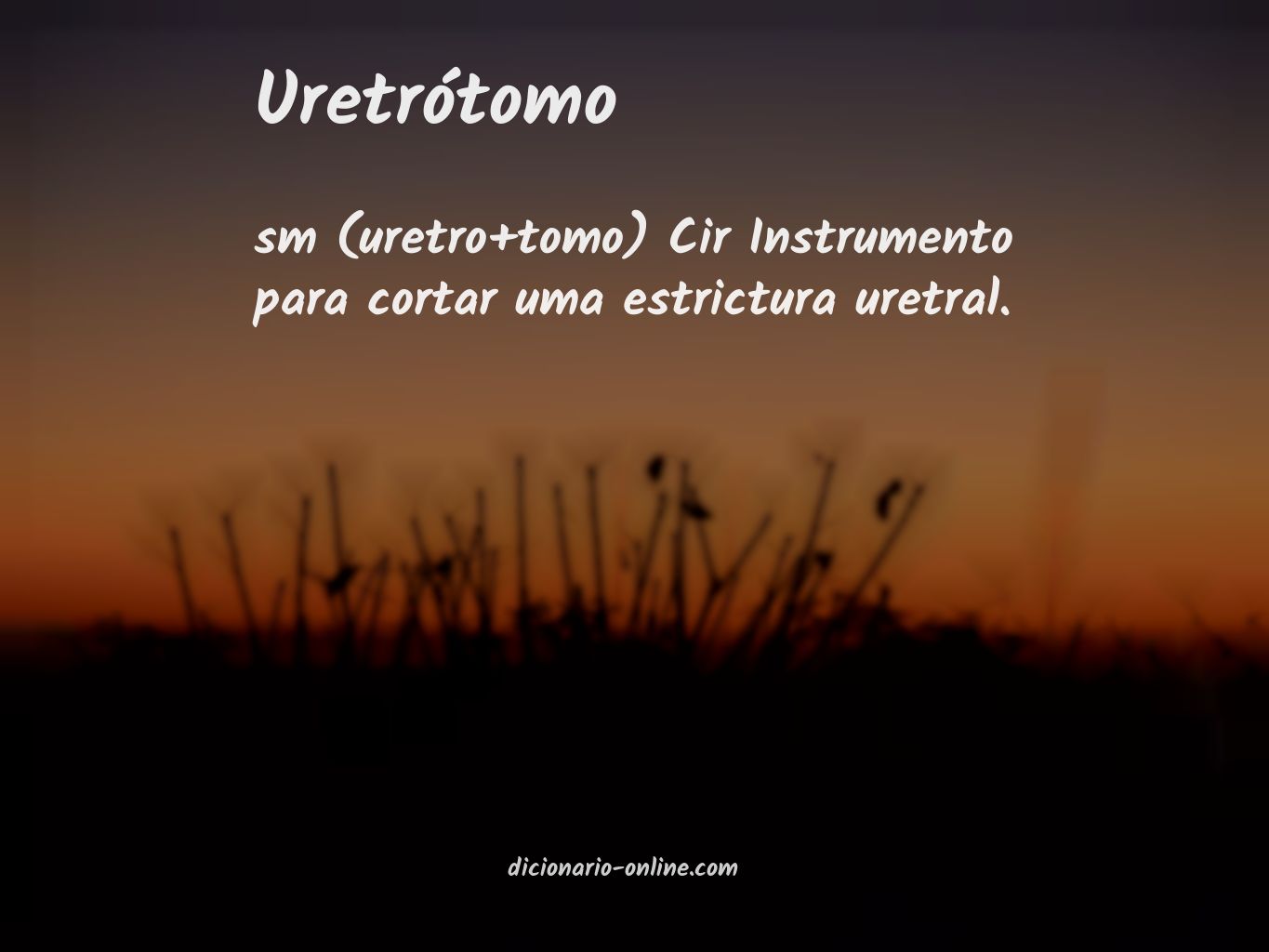 Significado de uretrótomo