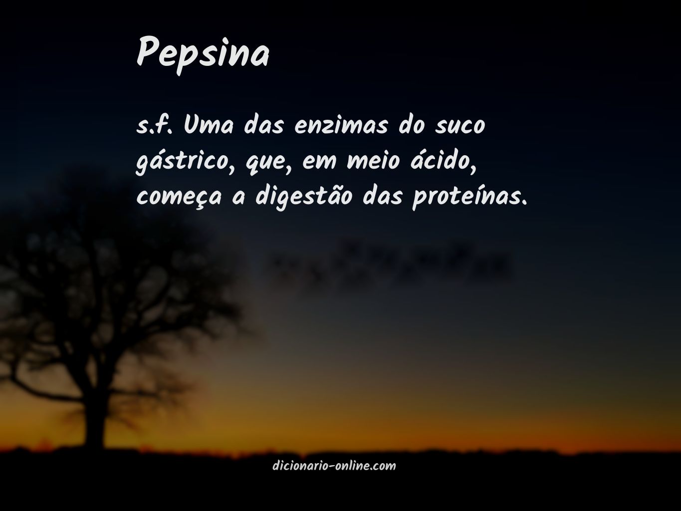 Significado de pepsina