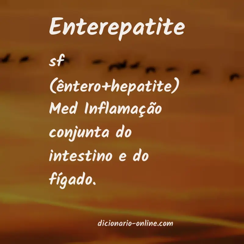 Significado de enterepatite
