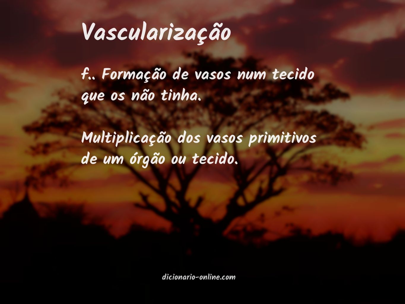 Significado de vascularização