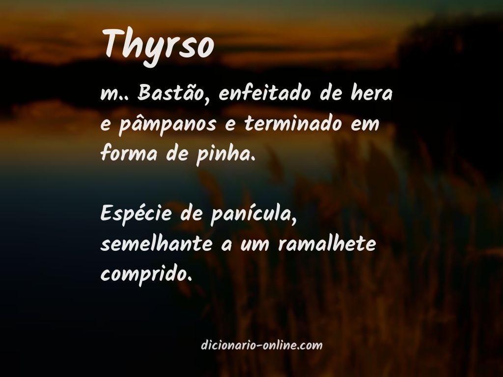 Significado de thyrso