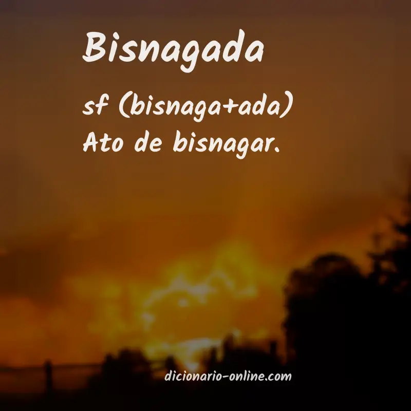 Significado de bisnagada