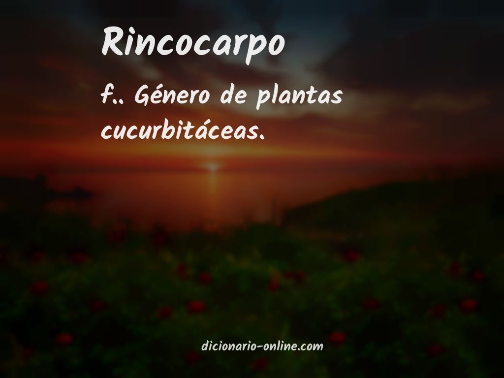 Significado de rincocarpo