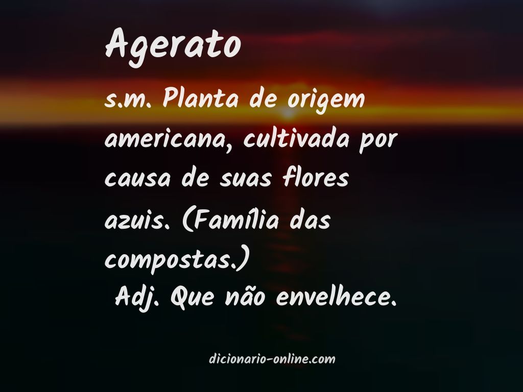 Significado de agerato