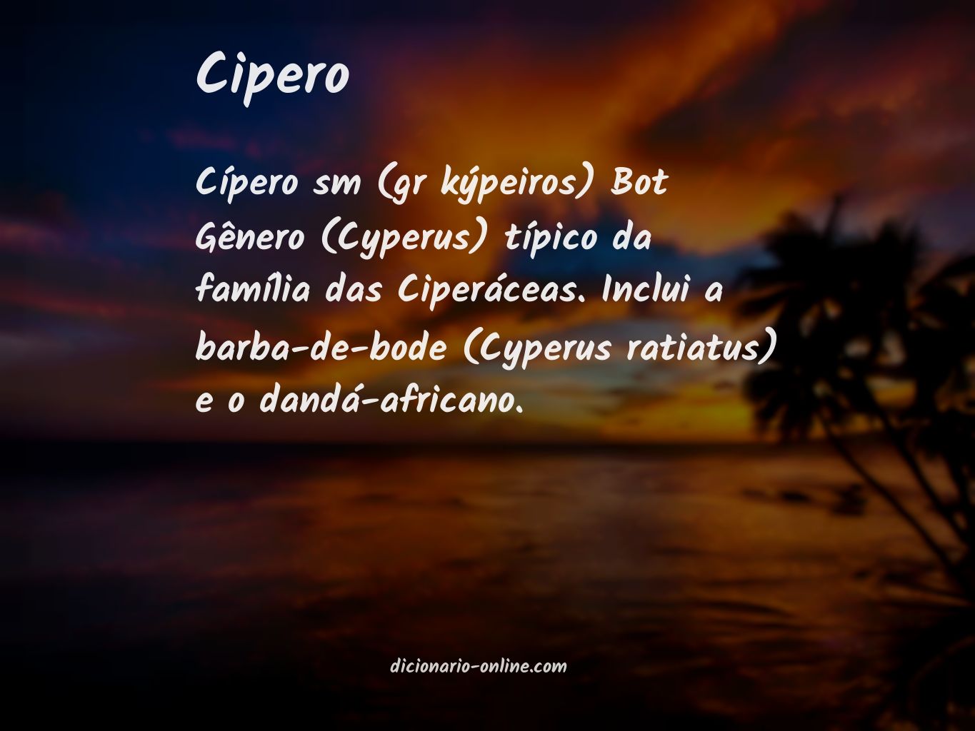 Significado de cipero