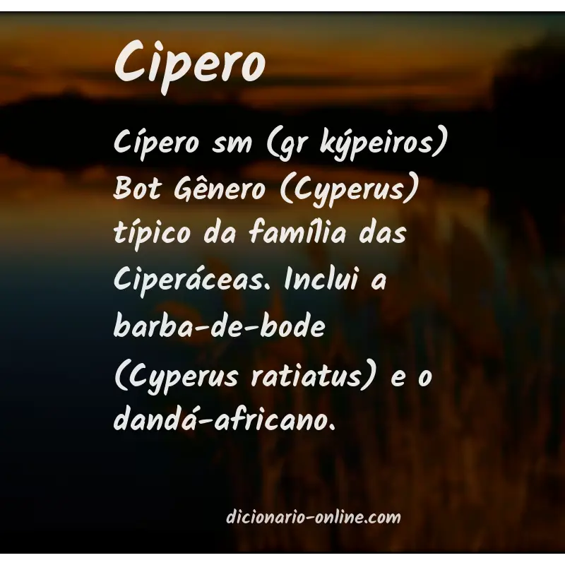 Significado de cipero