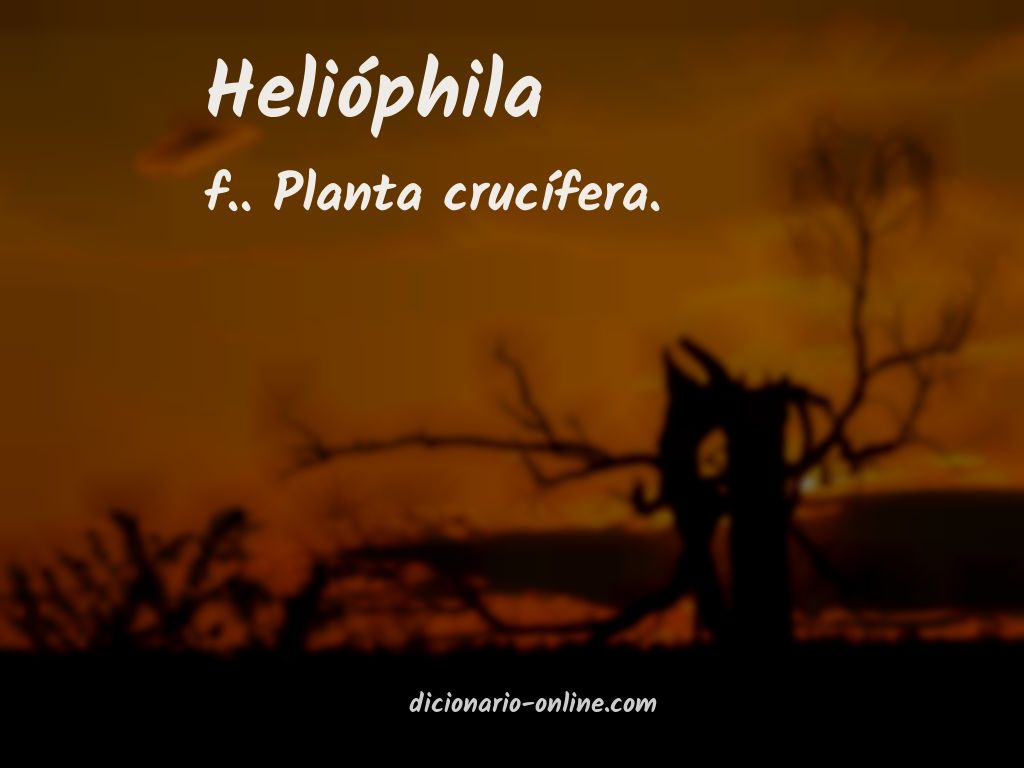Significado de helióphila