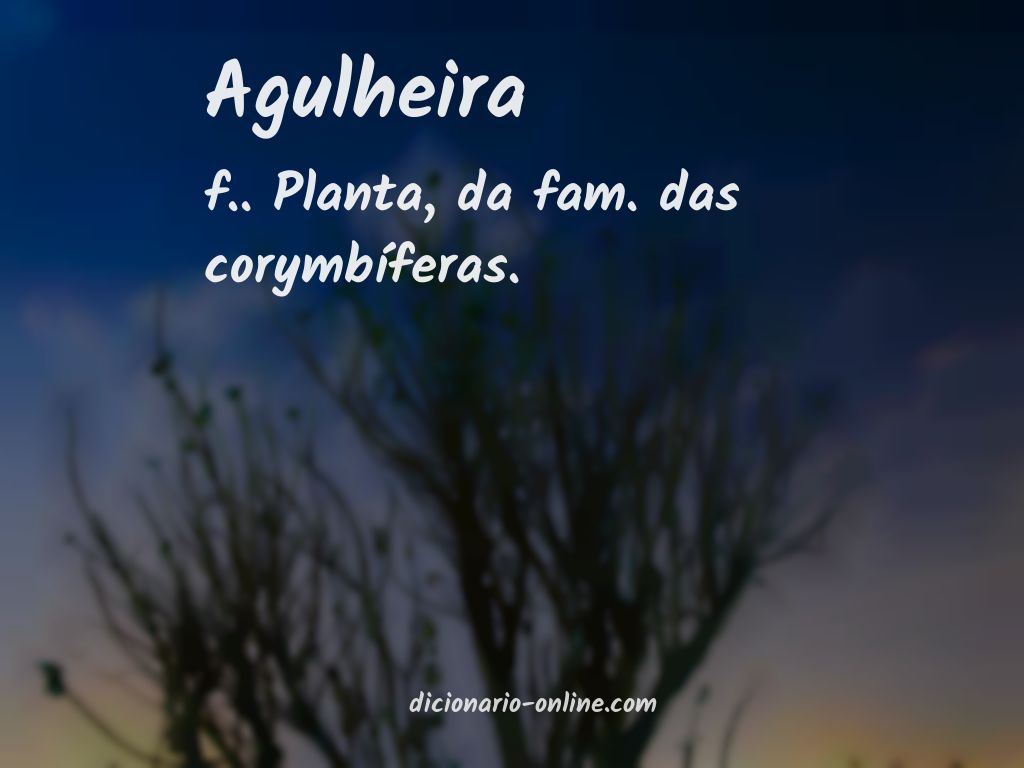 Significado de agulheira