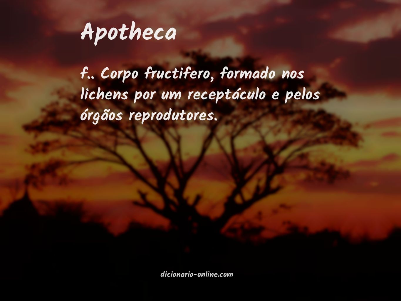 Significado de apotheca