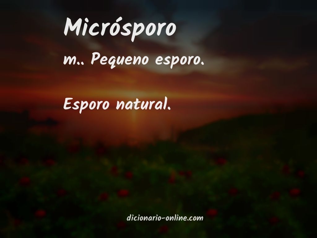 Significado de micrósporo