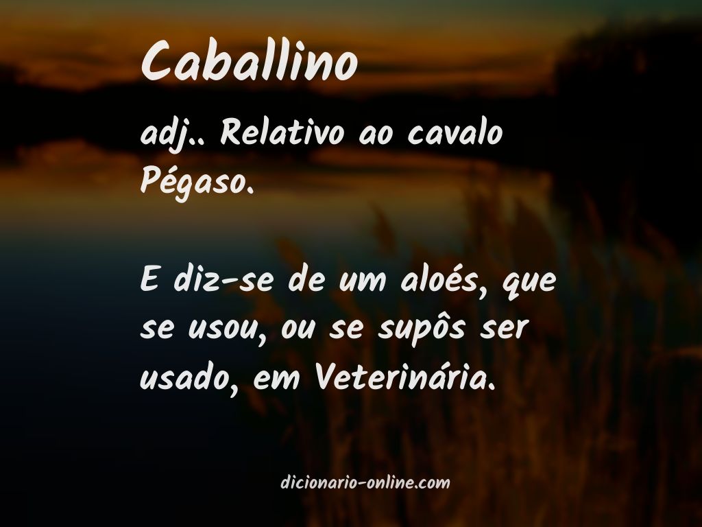 Significado de caballino