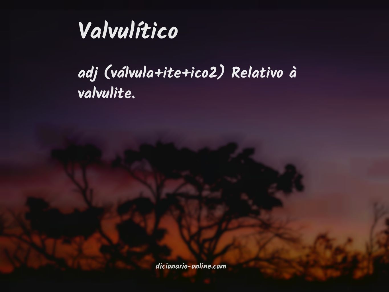 Significado de valvulítico