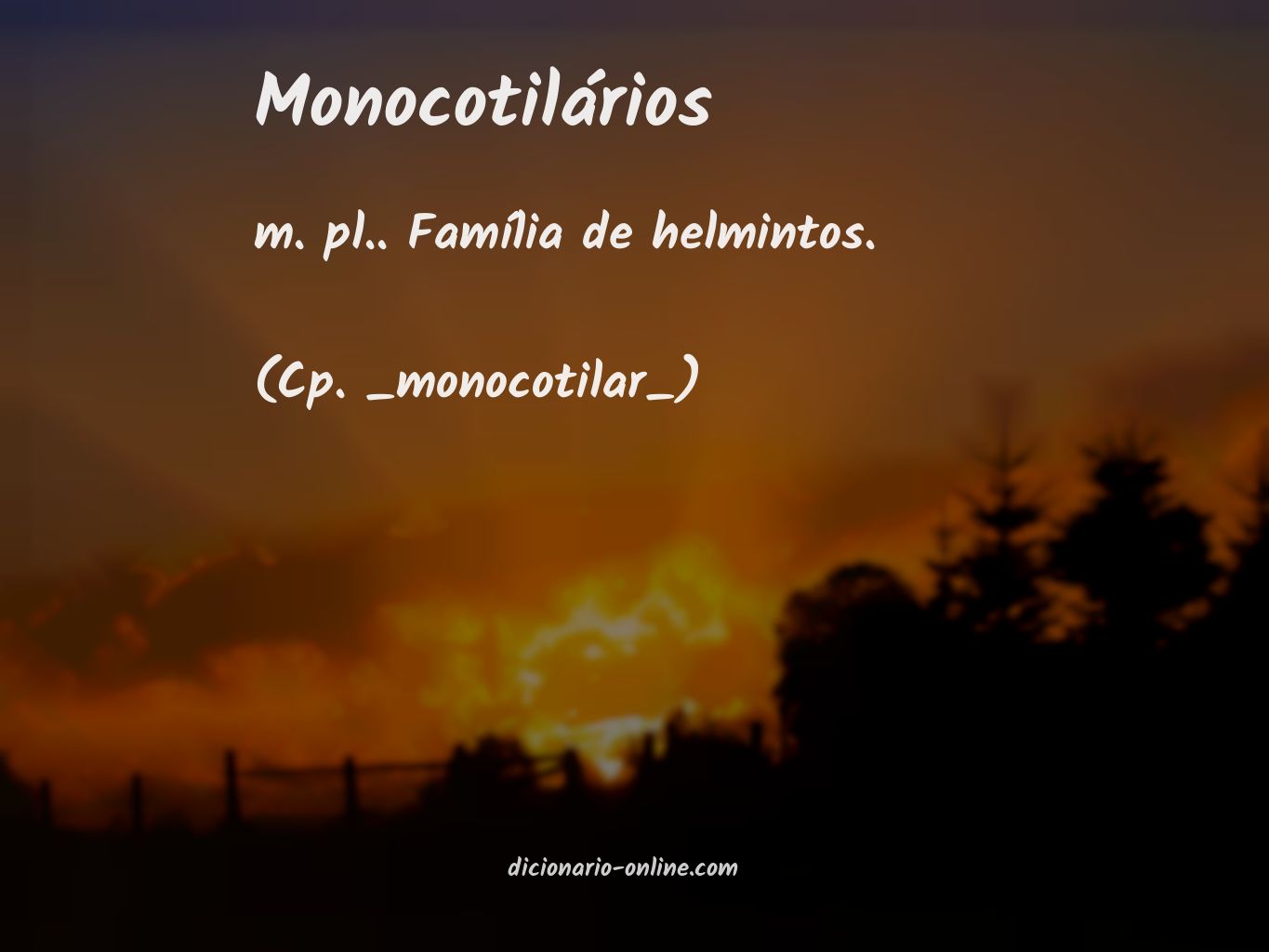 Significado de monocotilários