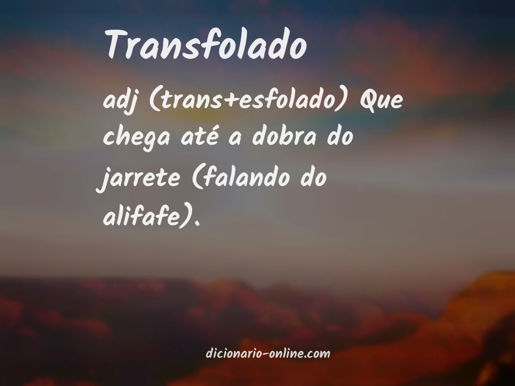 Significado de transfolado